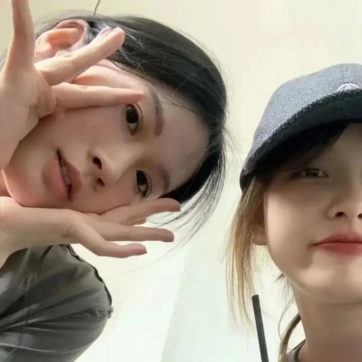 新弦 在线观看